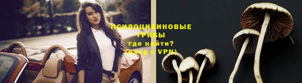 таблы Богородицк
