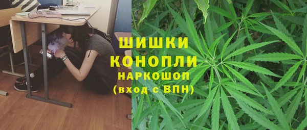 таблы Богородицк